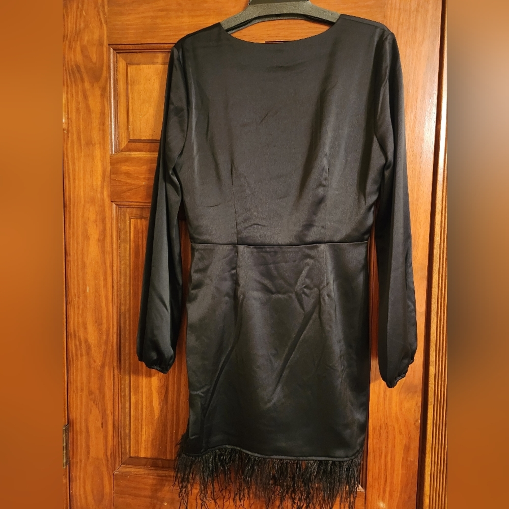 Black dress with feather accent